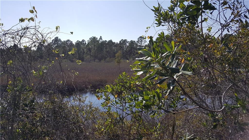 16135 GOLDENROD DRIVE, PUNTA GORDA, Florida 33955, ,Vacant land,For sale,GOLDENROD,C7243689