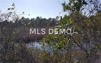 16135 GOLDENROD DRIVE, PUNTA GORDA, Florida 33955, ,Vacant land,For sale,GOLDENROD,C7243689