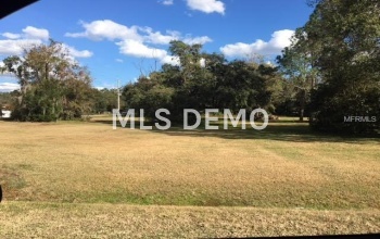 HAYES ROAD, LAKELAND, Florida 33811, ,Vacant land,For sale,HAYES,L4725444