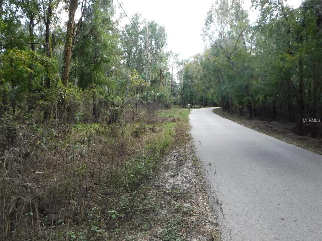 RIVER DRIVE, VALRICO, Florida 33596, ,Vacant land,For sale,RIVER,T2905586