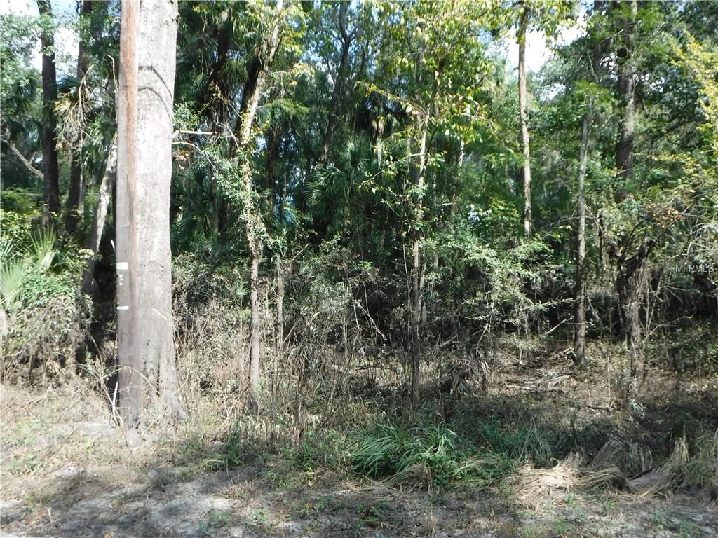 RIVER DRIVE, VALRICO, Florida 33596, ,Vacant land,For sale,RIVER,T2905586