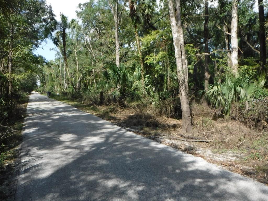 RIVER DRIVE, VALRICO, Florida 33596, ,Vacant land,For sale,RIVER,T2905586