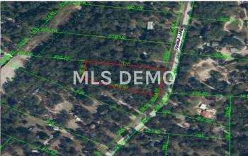 0 JOSHUA LANE, HUDSON, Florida 34669, ,Vacant land,For sale,JOSHUA LANE,T2905589