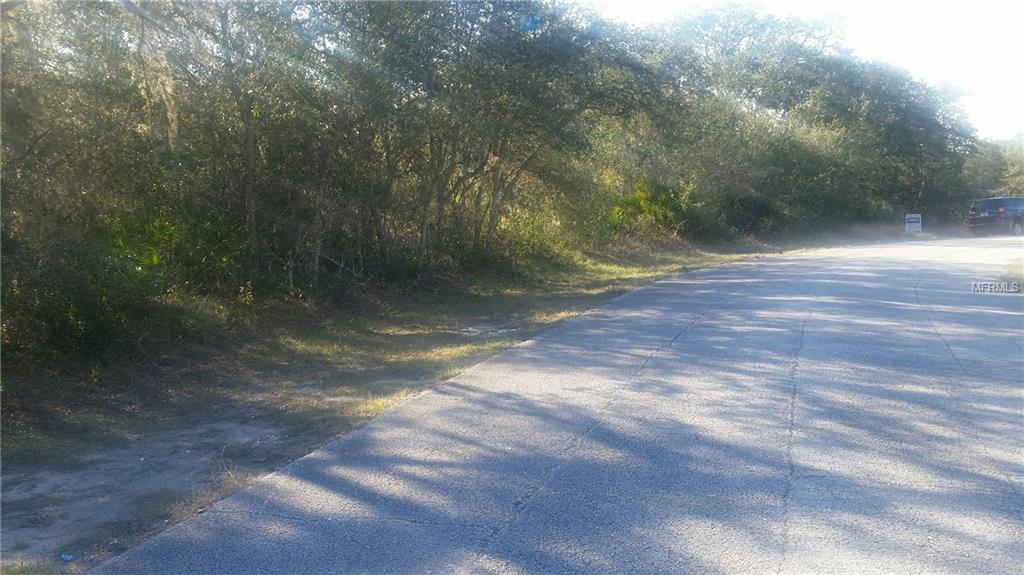 523 RIO GRANDE DRIVE, POINCIANA, Florida 34759, ,Vacant land,For sale,RIO GRANDE,S4856899