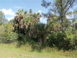 LOFFREDA AVENUE, NORTH PORT, Florida 34291, ,Vacant land,For sale,LOFFREDA,C7228161