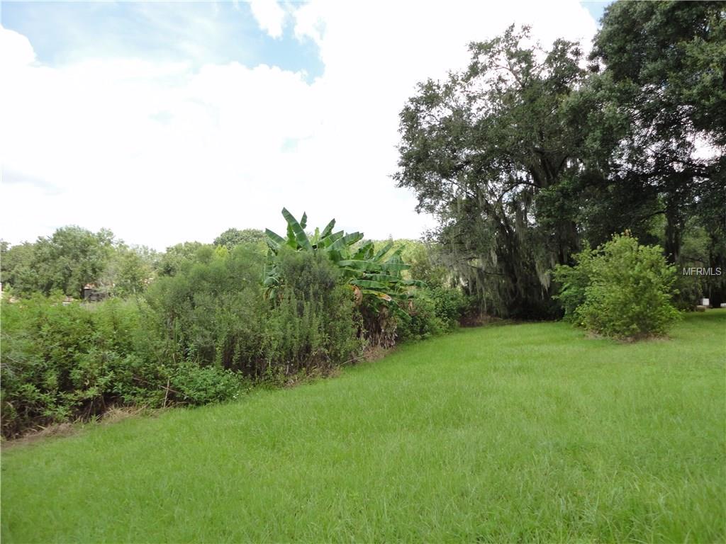 LUTZ, Florida 33549, ,Vacant land,For sale,T2906066