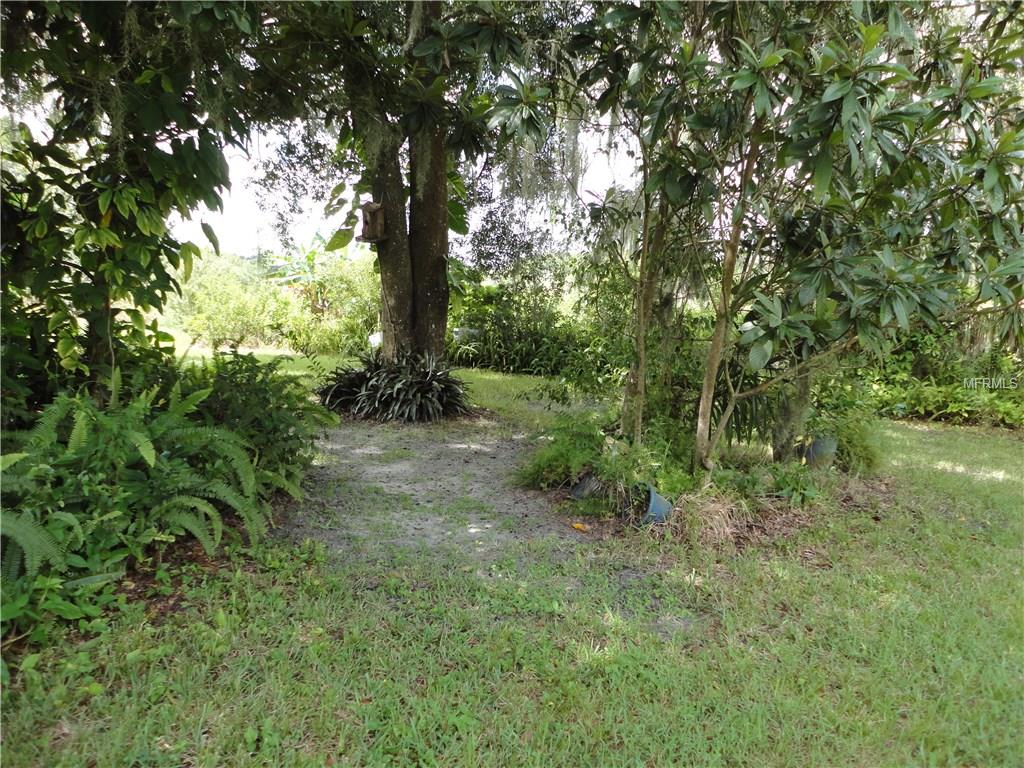 LUTZ, Florida 33549, ,Vacant land,For sale,T2906066