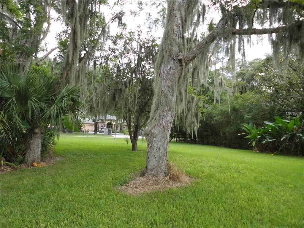 LUTZ, Florida 33549, ,Vacant land,For sale,T2906066