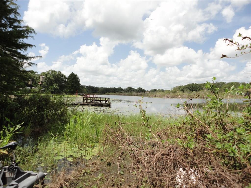 LUTZ, Florida 33549, ,Vacant land,For sale,T2906066