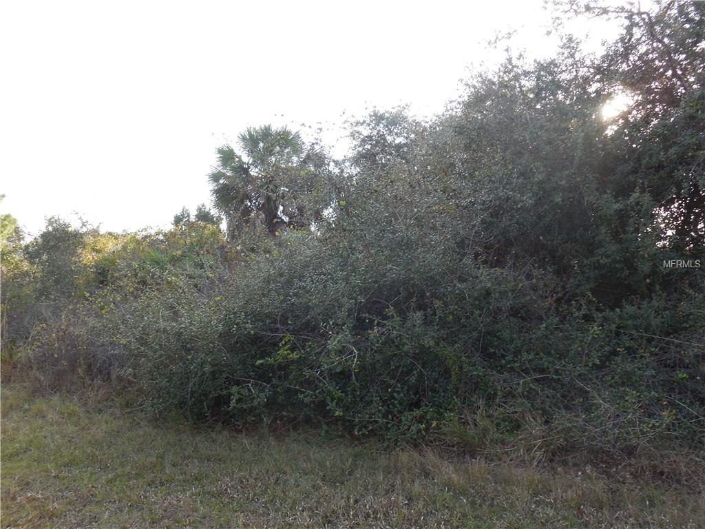 4211 BARNES LANE, PORT CHARLOTTE, Florida 33981, ,Vacant land,For sale,BARNES,C7248959