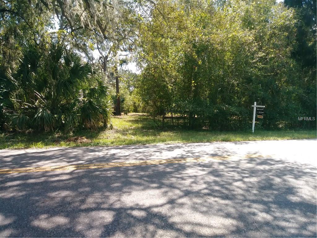 7424 N MOBLEY ROAD, ODESSA, Florida 33556, ,Vacant land,For sale,MOBLEY,T2906654