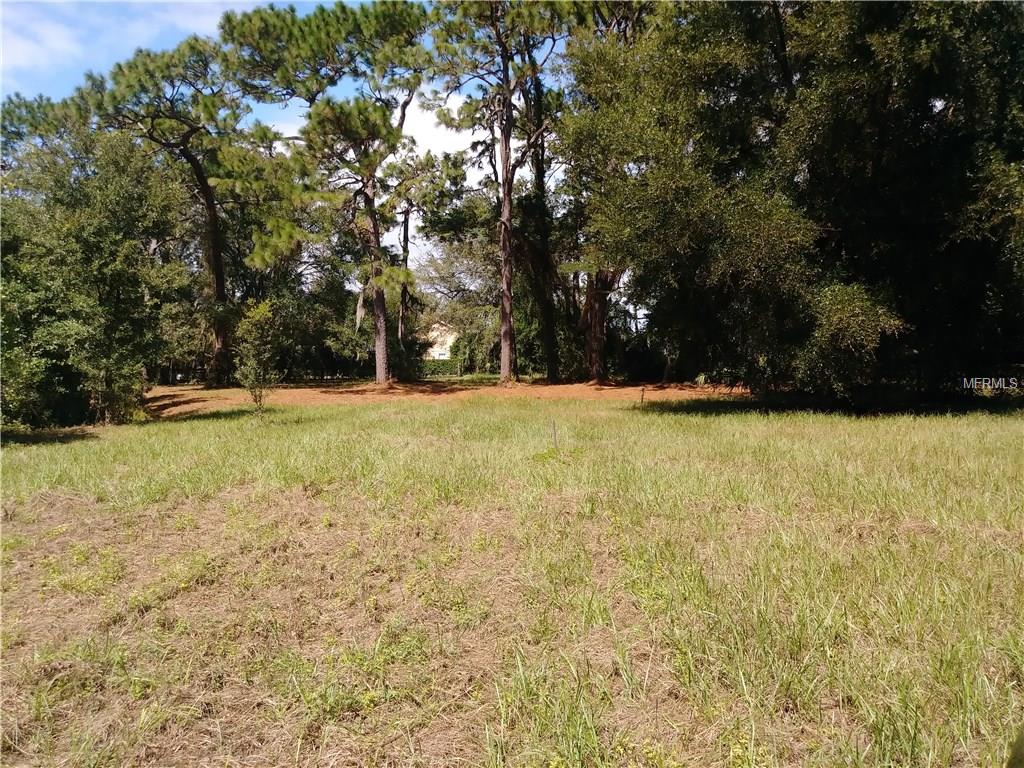 7424 N MOBLEY ROAD, ODESSA, Florida 33556, ,Vacant land,For sale,MOBLEY,T2906654