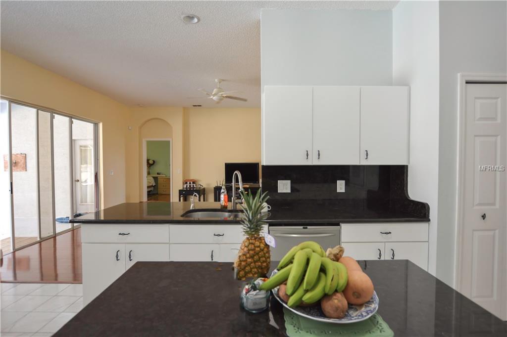 9011 CALLE ALTA, NEW PORT RICHEY, Florida 34655, 5 Bedrooms Bedrooms, 7 Rooms Rooms,4 BathroomsBathrooms,Residential,For sale,CALLE ALTA,T2927581