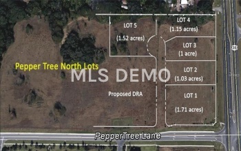 00 N US HWY 301, WILDWOOD, Florida 34785, ,Vacant land,For sale,US HWY 301,G4852624