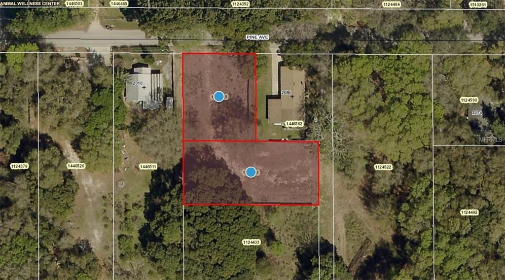 PINE AVENUE, MOUNT DORA, Florida 32757, ,Vacant land,For sale,PINE,G4848051