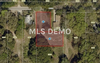 PINE AVENUE, MOUNT DORA, Florida 32757, ,Vacant land,For sale,PINE,G4848051