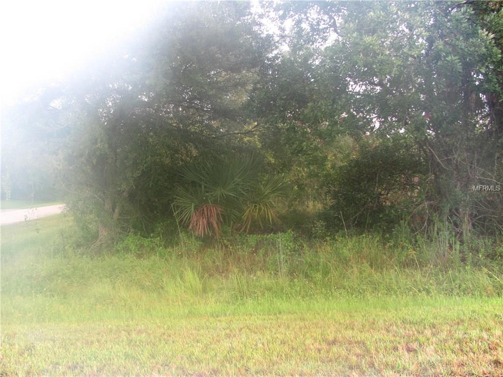 29212 OAKDALE STREET, PUNTA GORDA, Florida 33982, ,Vacant land,For sale,OAKDALE,C7229973