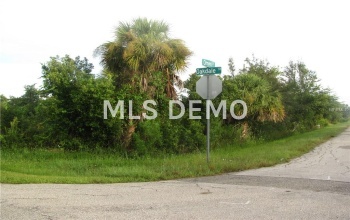 29212 OAKDALE STREET, PUNTA GORDA, Florida 33982, ,Vacant land,For sale,OAKDALE,C7229973