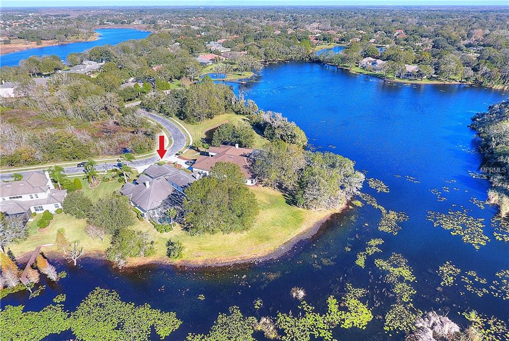 1111 OXBRIDGE DRIVE, LUTZ, Florida 33549, 5 Bedrooms Bedrooms, 12 Rooms Rooms,5 BathroomsBathrooms,Residential,For sale,OXBRIDGE,T2922140