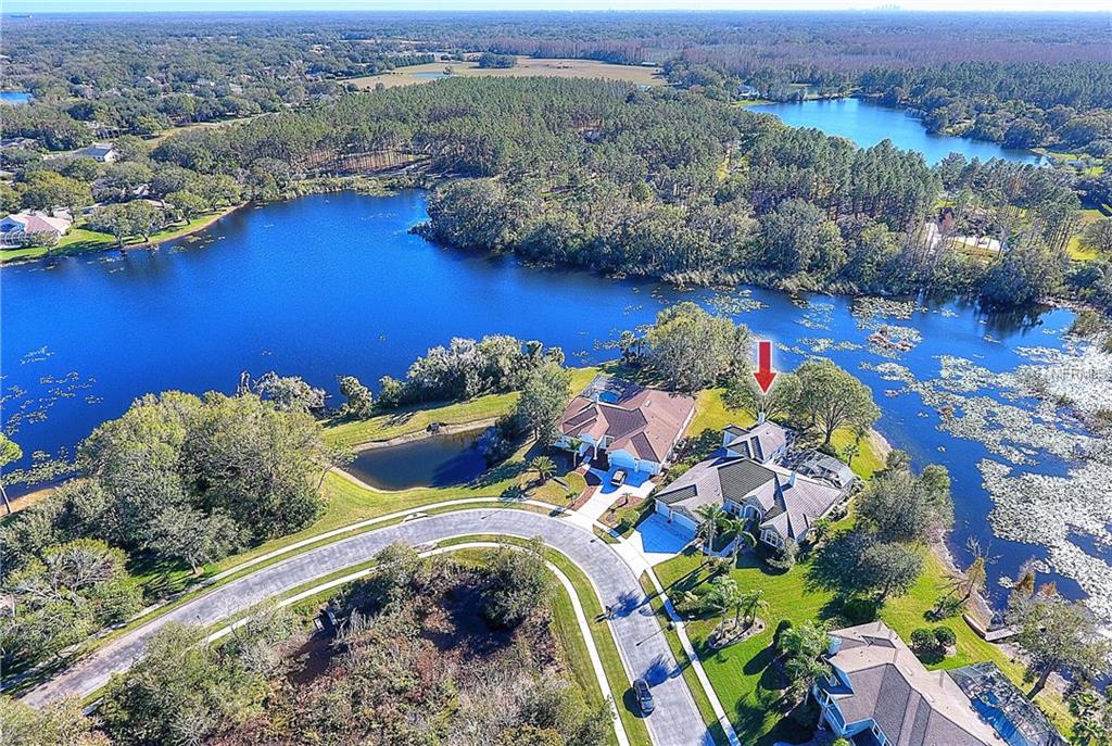 1111 OXBRIDGE DRIVE, LUTZ, Florida 33549, 5 Bedrooms Bedrooms, 12 Rooms Rooms,5 BathroomsBathrooms,Residential,For sale,OXBRIDGE,T2922140