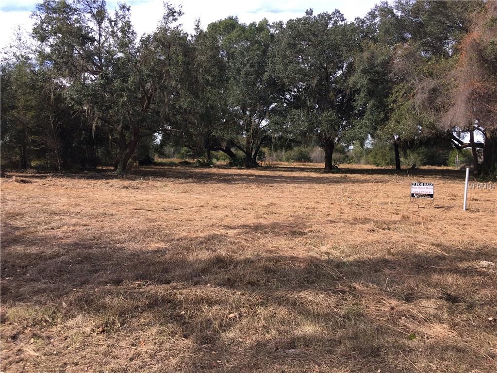 CR 313, BUSHNELL, Florida 33513, ,Vacant land,For sale,CR 313,E2203620