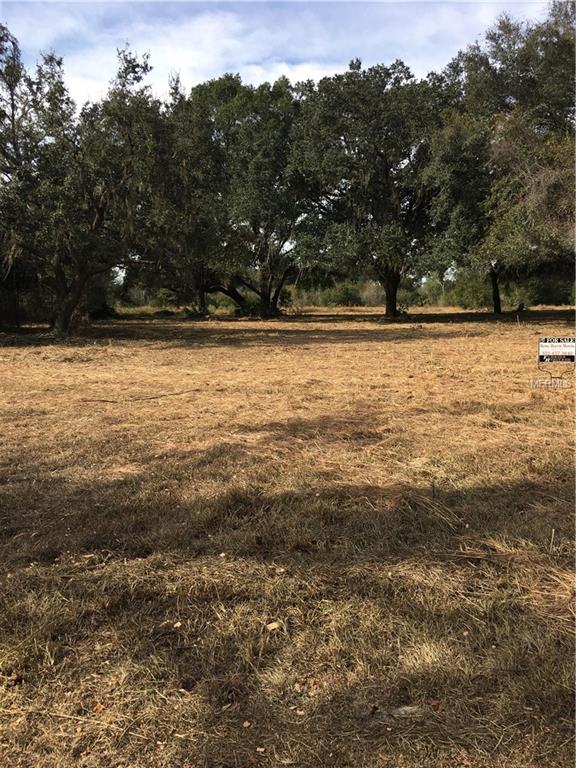 CR 313, BUSHNELL, Florida 33513, ,Vacant land,For sale,CR 313,E2203620