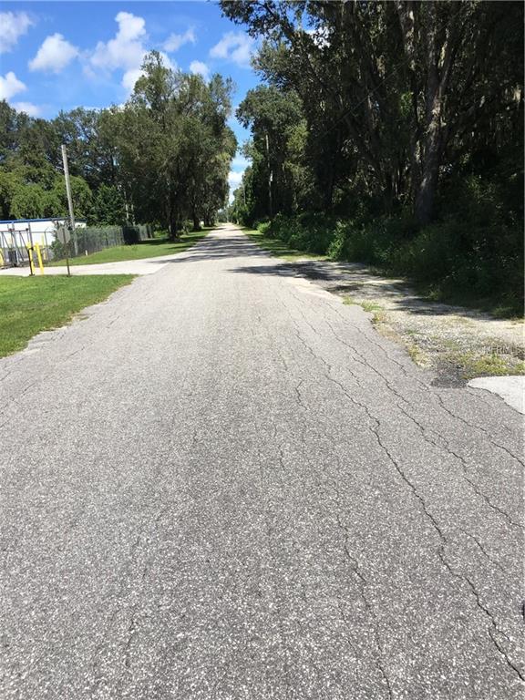 CR 313, BUSHNELL, Florida 33513, ,Vacant land,For sale,CR 313,E2203620