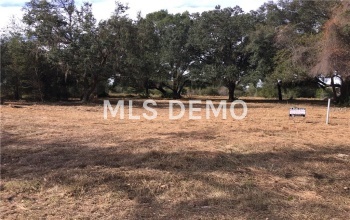 CR 313, BUSHNELL, Florida 33513, ,Vacant land,For sale,CR 313,E2203620