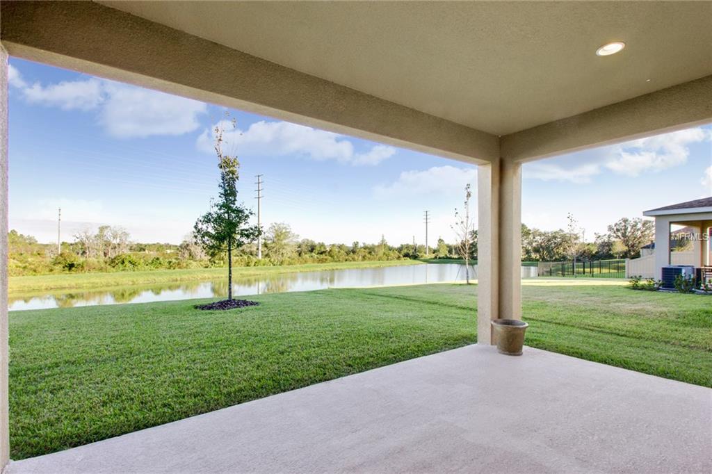 4568 ESPERANZA COURT, WESLEY CHAPEL, Florida 33543, 5 Bedrooms Bedrooms, 10 Rooms Rooms,4 BathroomsBathrooms,Residential,For sale,ESPERANZA,T2912912