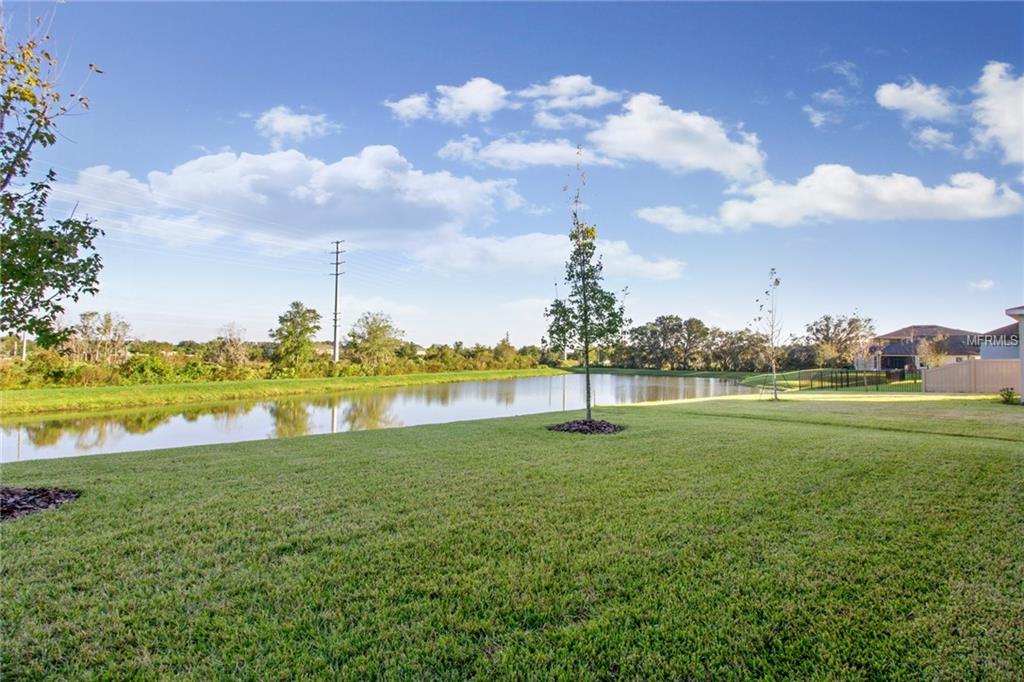 4568 ESPERANZA COURT, WESLEY CHAPEL, Florida 33543, 5 Bedrooms Bedrooms, 10 Rooms Rooms,4 BathroomsBathrooms,Residential,For sale,ESPERANZA,T2912912