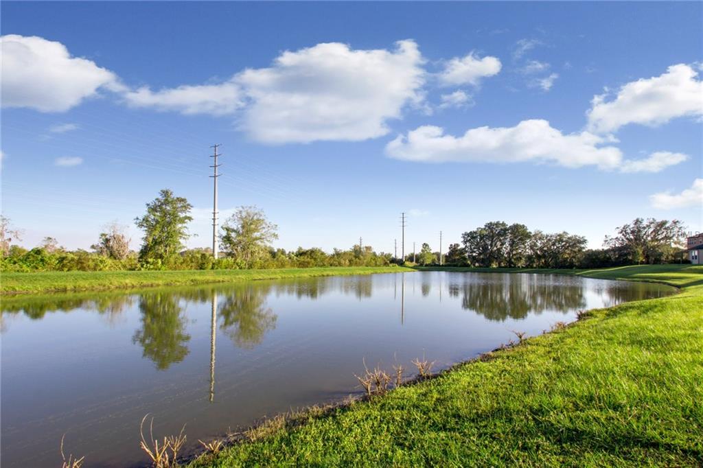 4568 ESPERANZA COURT, WESLEY CHAPEL, Florida 33543, 5 Bedrooms Bedrooms, 10 Rooms Rooms,4 BathroomsBathrooms,Residential,For sale,ESPERANZA,T2912912