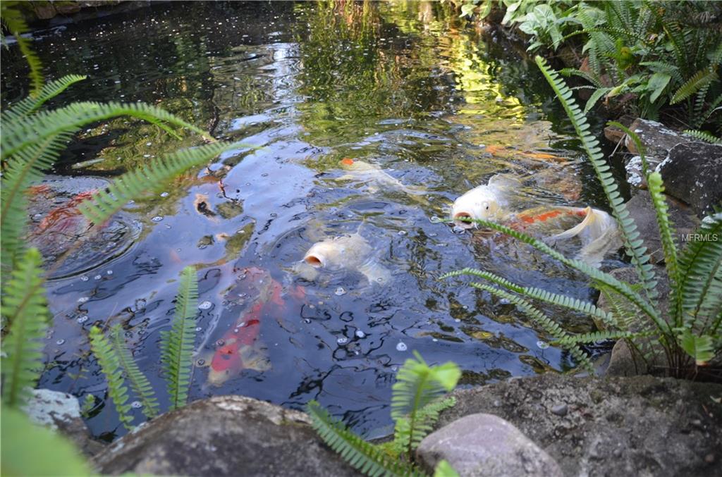 260 OWENS HARBOR ROAD, OSTEEN, Florida 32764, 5 Bedrooms Bedrooms, 13 Rooms Rooms,3 BathroomsBathrooms,Residential,For sale,OWENS HARBOR,V4716586