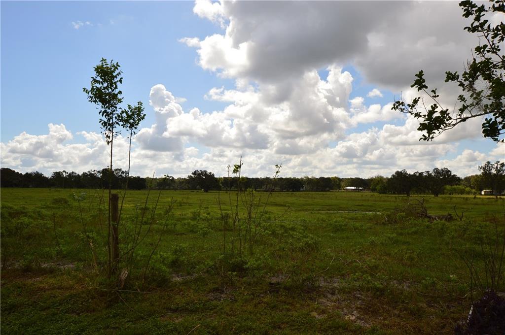 2961 POPLAR AVENUE, LEESBURG, Florida 34748, 2 Bedrooms Bedrooms, 7 Rooms Rooms,2 BathroomsBathrooms,Residential,For sale,POPLAR,G4848496