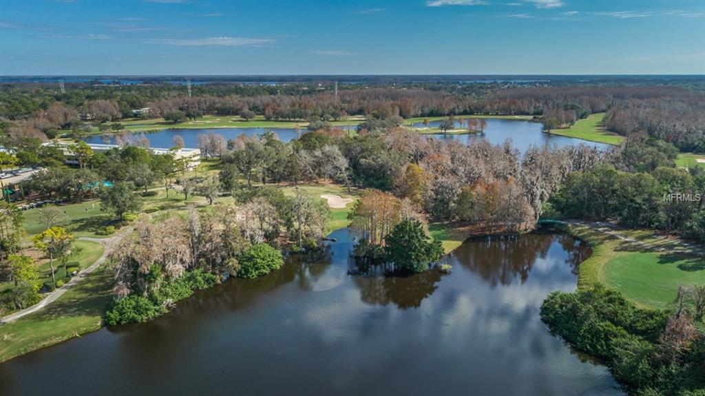 1591 MARINELLA DRIVE, PALM HARBOR, Florida 34683, 3 Bedrooms Bedrooms, 3 Rooms Rooms,2 BathroomsBathrooms,Residential,For sale,MARINELLA,U7847546