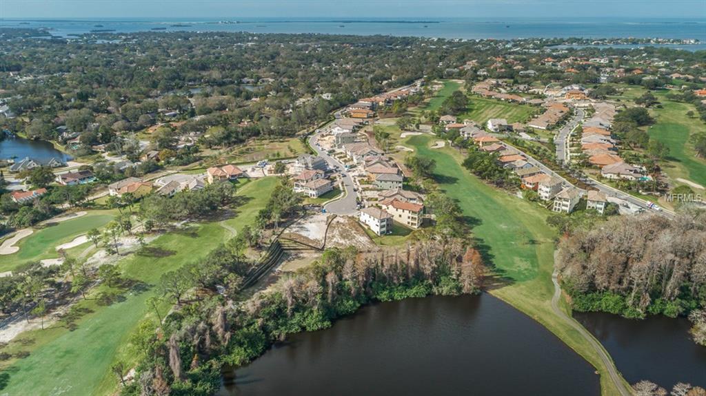 1591 MARINELLA DRIVE, PALM HARBOR, Florida 34683, 3 Bedrooms Bedrooms, 3 Rooms Rooms,2 BathroomsBathrooms,Residential,For sale,MARINELLA,U7847546