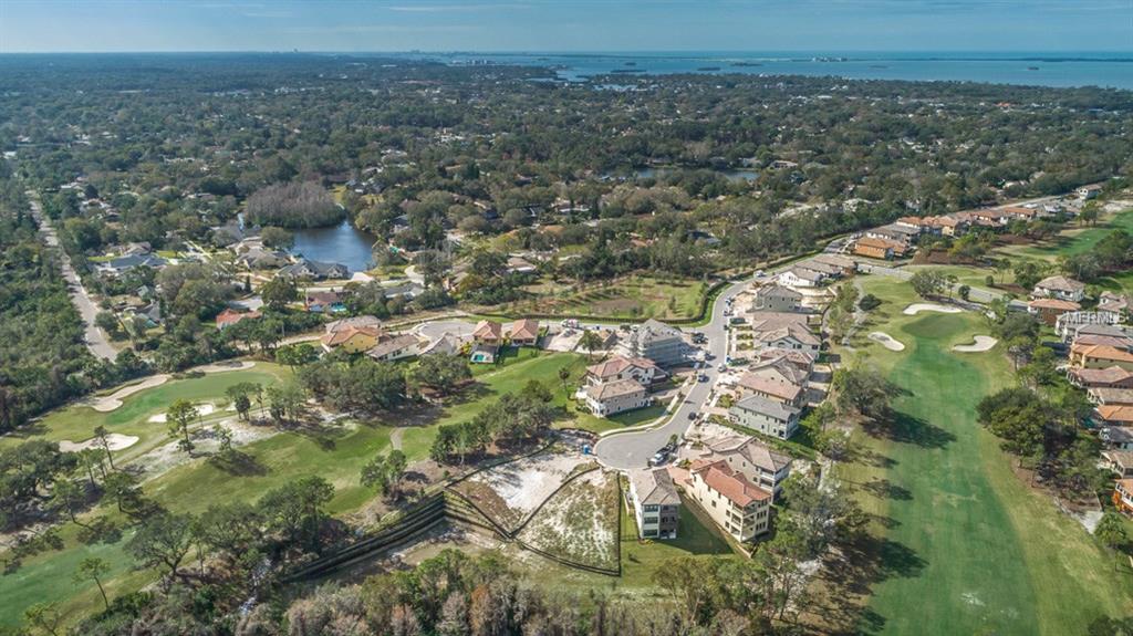 1591 MARINELLA DRIVE, PALM HARBOR, Florida 34683, 3 Bedrooms Bedrooms, 3 Rooms Rooms,2 BathroomsBathrooms,Residential,For sale,MARINELLA,U7847546