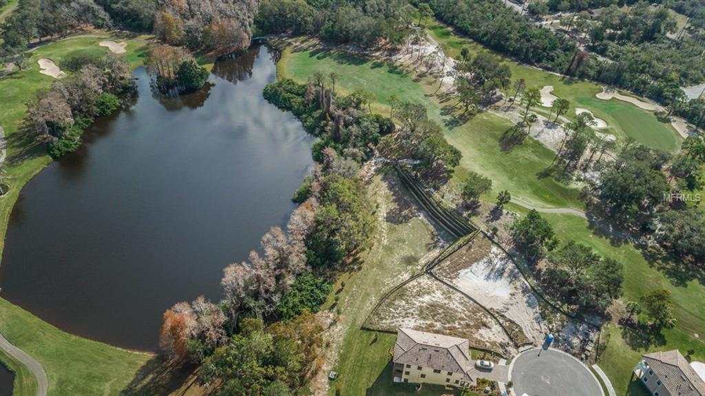 1591 MARINELLA DRIVE, PALM HARBOR, Florida 34683, 3 Bedrooms Bedrooms, 3 Rooms Rooms,2 BathroomsBathrooms,Residential,For sale,MARINELLA,U7847546