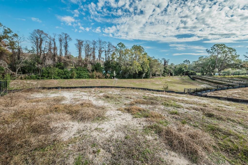 1591 MARINELLA DRIVE, PALM HARBOR, Florida 34683, 3 Bedrooms Bedrooms, 3 Rooms Rooms,2 BathroomsBathrooms,Residential,For sale,MARINELLA,U7847546