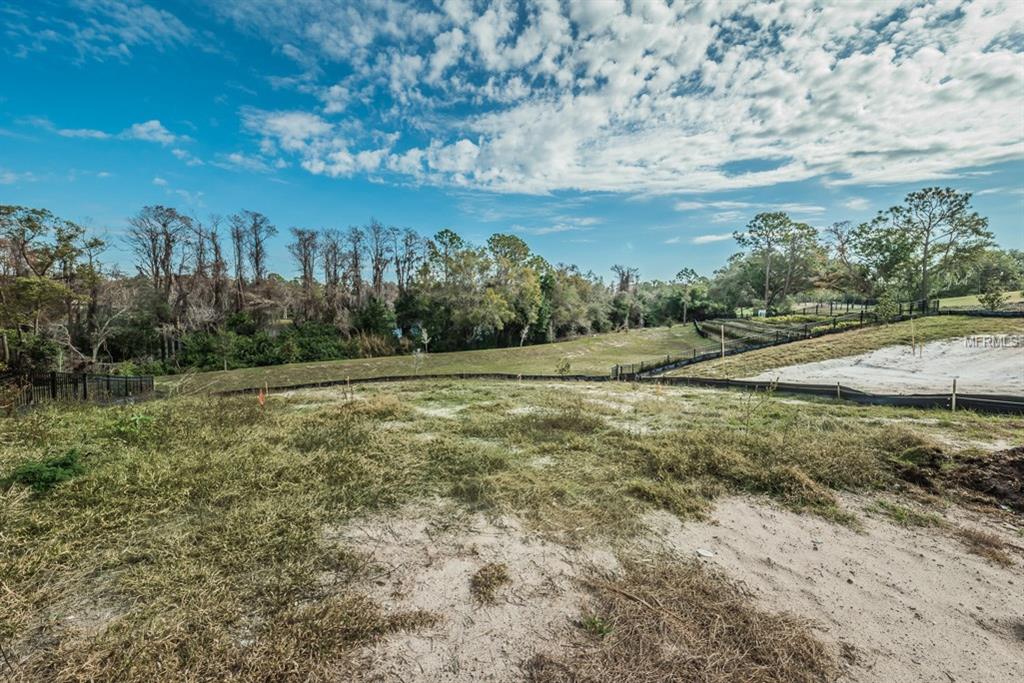 1591 MARINELLA DRIVE, PALM HARBOR, Florida 34683, 3 Bedrooms Bedrooms, 3 Rooms Rooms,2 BathroomsBathrooms,Residential,For sale,MARINELLA,U7847546