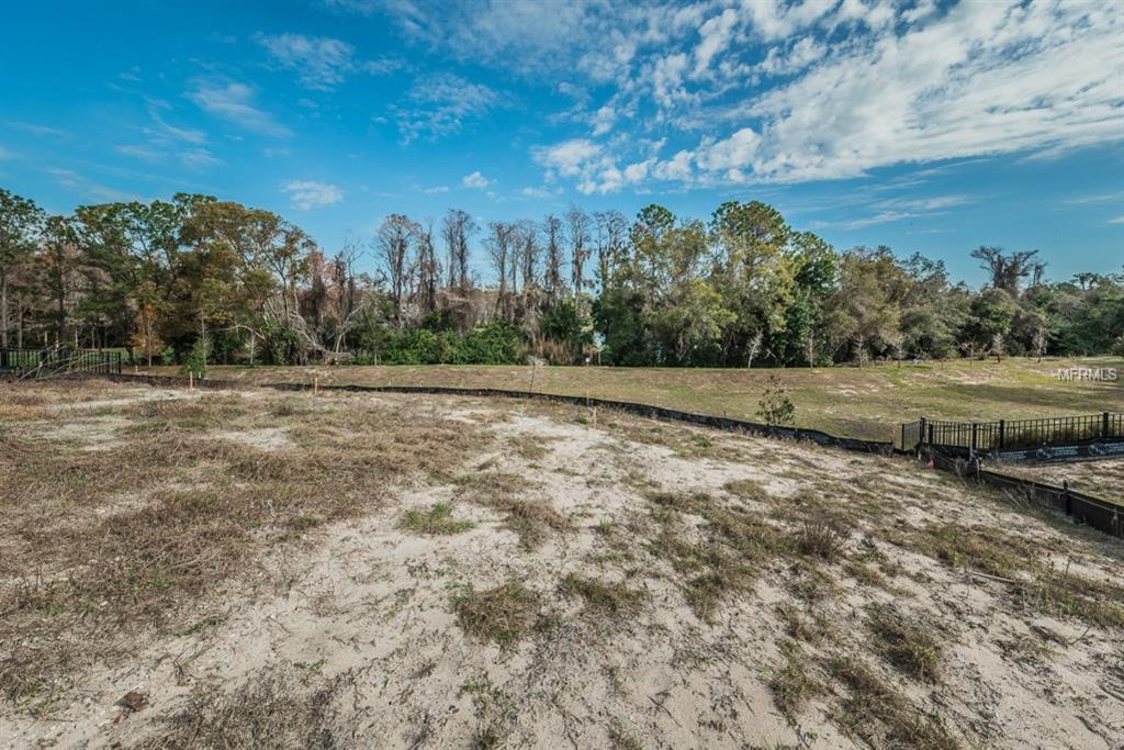 1591 MARINELLA DRIVE, PALM HARBOR, Florida 34683, 3 Bedrooms Bedrooms, 3 Rooms Rooms,2 BathroomsBathrooms,Residential,For sale,MARINELLA,U7847546