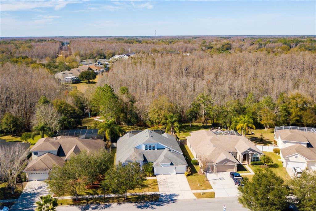 5447 WINHAWK WAY, LUTZ, Florida 33558, 4 Bedrooms Bedrooms, 9 Rooms Rooms,3 BathroomsBathrooms,Residential,For sale,WINHAWK,T2925755