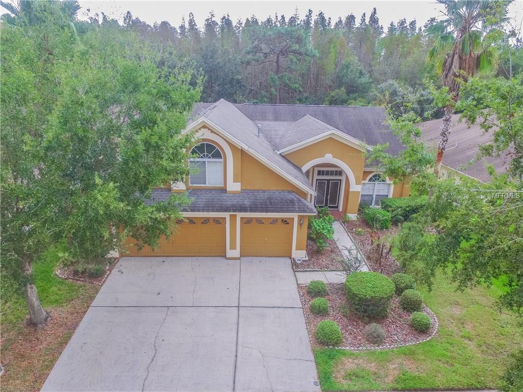 10217 TIMBERLAND POINT DRIVE, TAMPA, Florida 33647, 4 Bedrooms Bedrooms, 9 Rooms Rooms,3 BathroomsBathrooms,Residential,For sale,TIMBERLAND POINT,T2909964