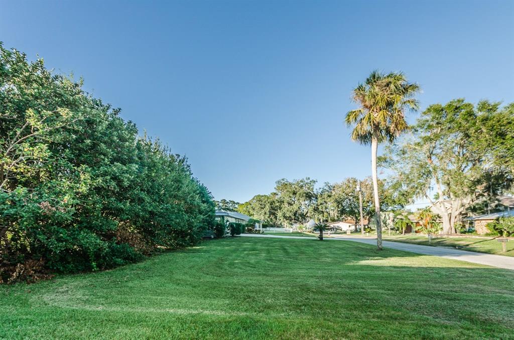 156 LAKE SHORE DRIVE E, PALM HARBOR, Florida 34684, 3 Bedrooms Bedrooms, 4 Rooms Rooms,2 BathroomsBathrooms,Residential,For sale,LAKE SHORE,U7838028