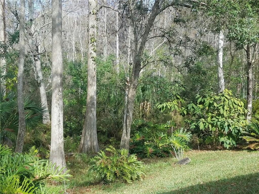 4040 CORKWOOD CT, PALM HARBOR, Florida 34684, 3 Bedrooms Bedrooms, 4 Rooms Rooms,2 BathroomsBathrooms,Residential,For sale,CORKWOOD CT,T2926823