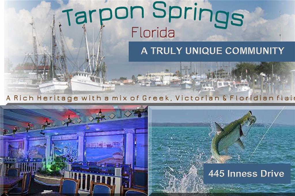445 INNESS DRIVE, TARPON SPRINGS, Florida 34689, 4 Bedrooms Bedrooms, 6 Rooms Rooms,3 BathroomsBathrooms,Residential,For sale,INNESS,W7634006