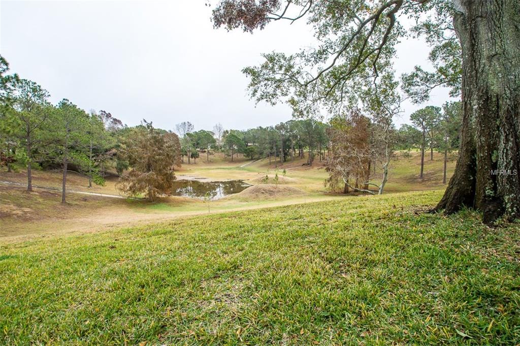 1703 ABERDEEN COURT, PALM HARBOR, Florida 34684, 2 Bedrooms Bedrooms, 6 Rooms Rooms,2 BathroomsBathrooms,Residential,For sale,ABERDEEN,U7843542