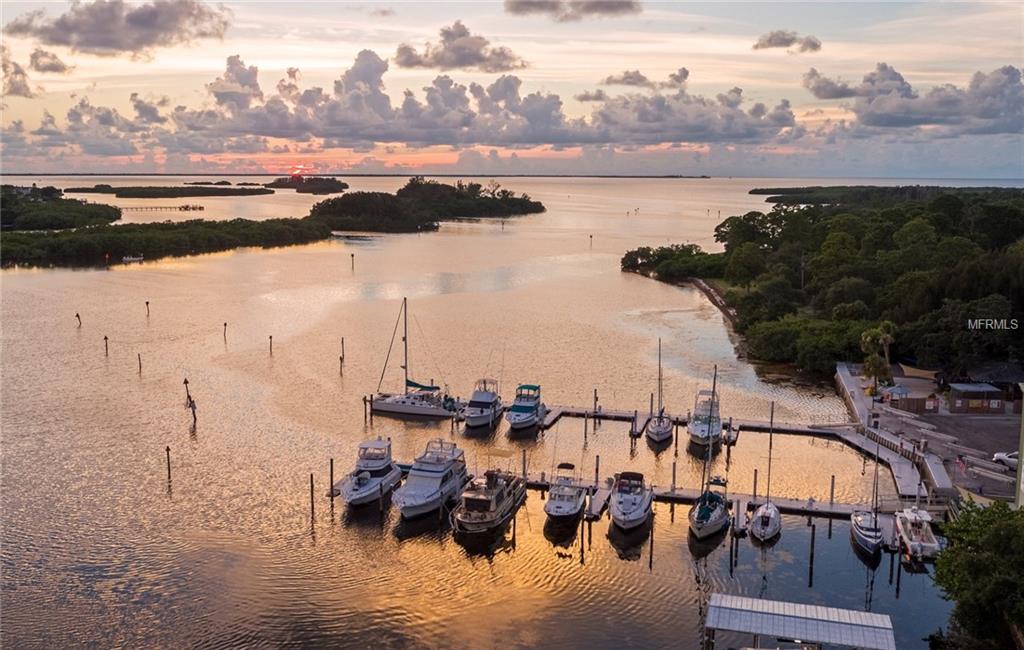 3125 SANDHILL DRIVE, HOLIDAY, Florida 34691, 3 Bedrooms Bedrooms, 3 Rooms Rooms,2 BathroomsBathrooms,Residential,For sale,SANDHILL,U7845877