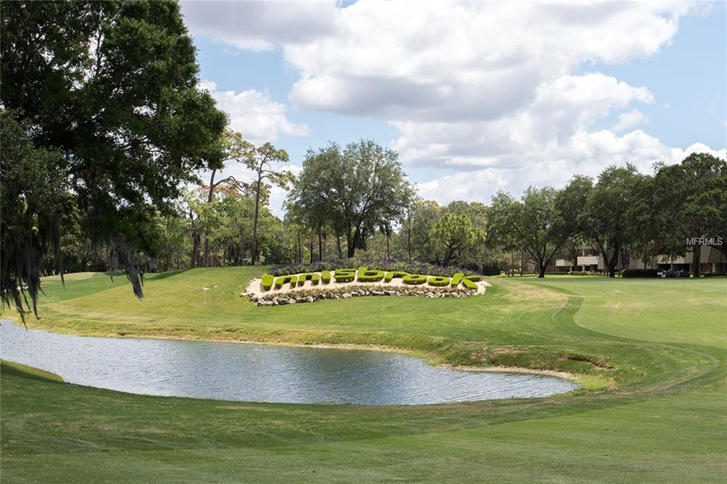 1306 VIA VERDI DRIVE, PALM HARBOR, Florida 34683, 4 Bedrooms Bedrooms, 4 Rooms Rooms,4 BathroomsBathrooms,Residential,For sale,VIA VERDI,U7824302