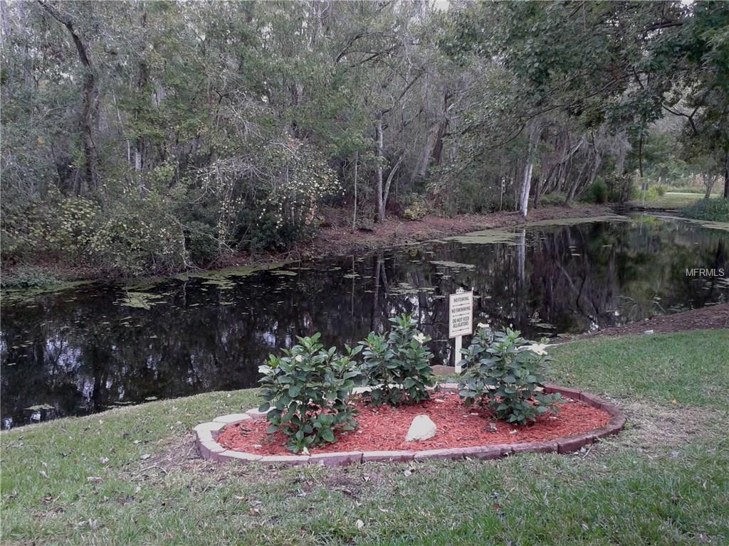 6425 REMUS DRIVE, NEW PORT RICHEY, Florida 34653, 2 Bedrooms Bedrooms, 6 Rooms Rooms,2 BathroomsBathrooms,Residential,For sale,REMUS,W7635582