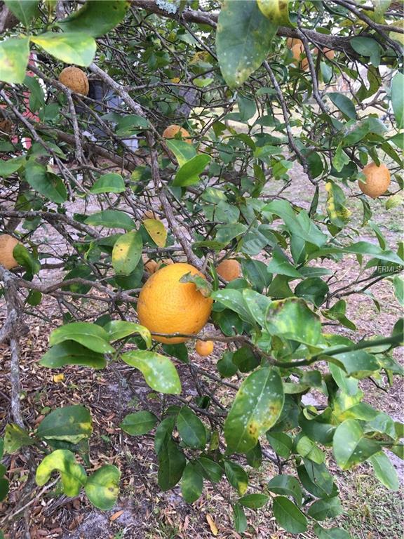 2442 DORSEY DRIVE, PUNTA GORDA, Florida 33983, 2 Bedrooms Bedrooms, 6 Rooms Rooms,2 BathroomsBathrooms,Residential,For sale,DORSEY,C7248311